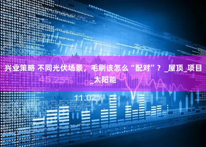 兴业策略 不同光伏场景，毛刷该怎么“配对”？_屋顶_项目_太阳能