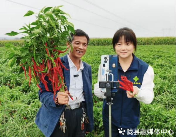 谷锦网 红红的辣椒 红红的日子