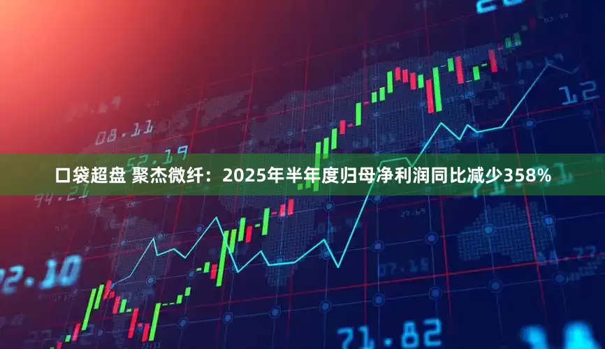 口袋超盘 聚杰微纤：2025年半年度归母净利润同比减少358%